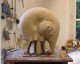 Thumbs/tn_Brunnenfigur4.jpg